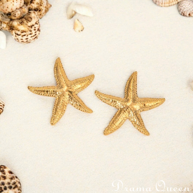 Star Earrings 